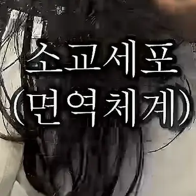 Profile image of 소교세포