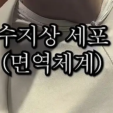 Profile image of 수지상세포
