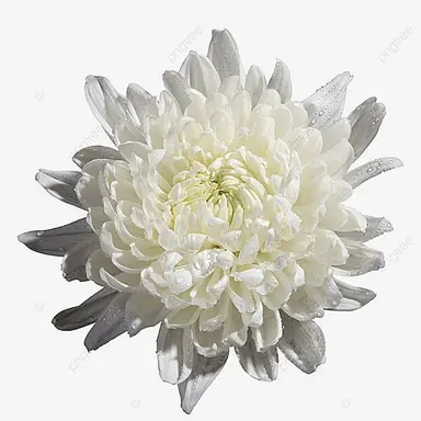 Profile image of 츠키나 요루