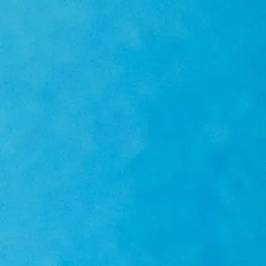 Profile image of 樹
