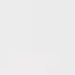 Profile image of りくと