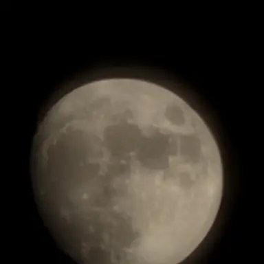 Profile image of 이홍위