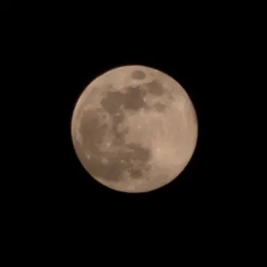 Profile image of 엄태산