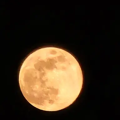 Profile image of 엄흥도