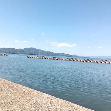 Profile image of はるか