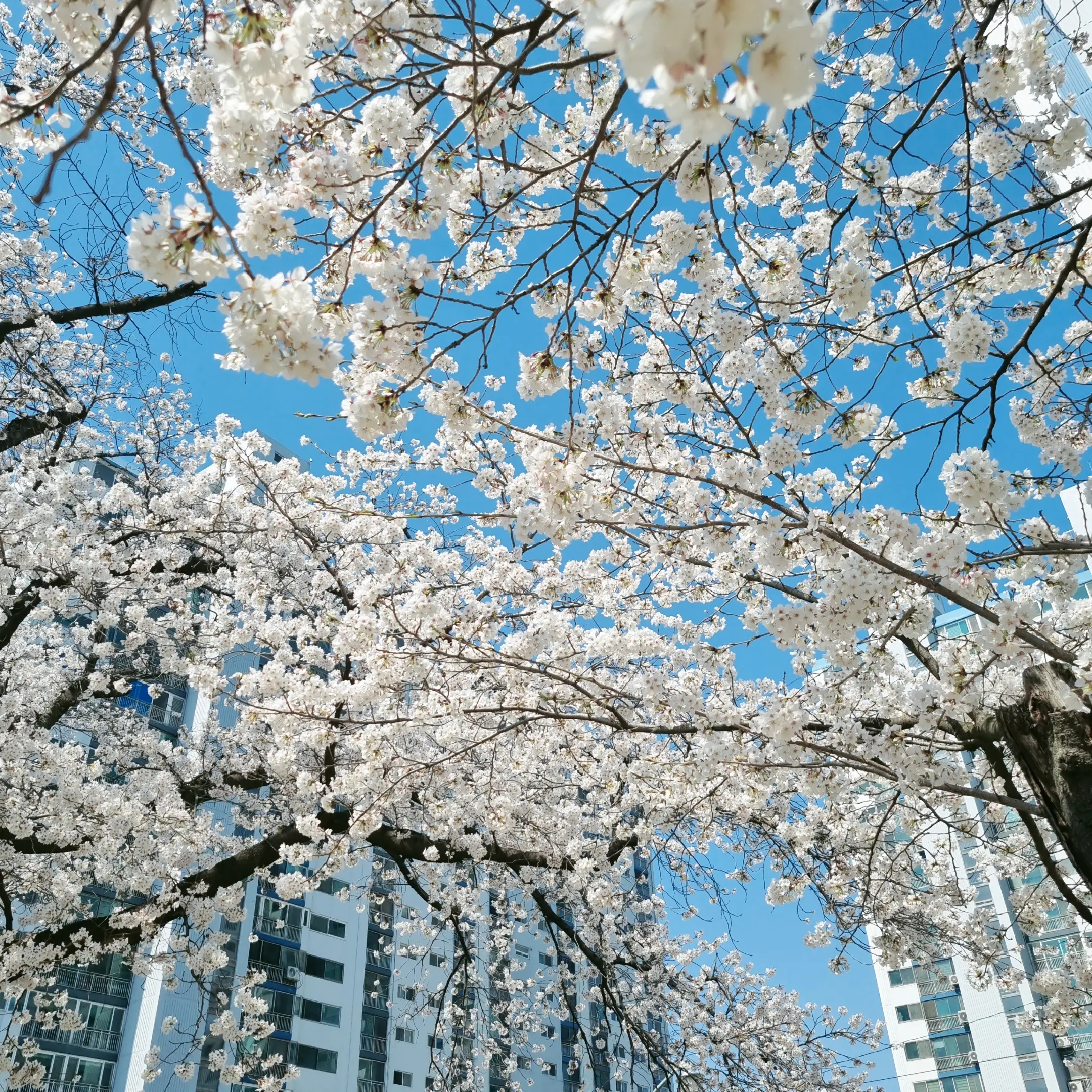 FrugalModel8436의 타워 하는데 멜 도우기