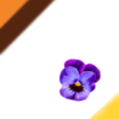 Profile image of エイリーン