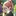 ゆな