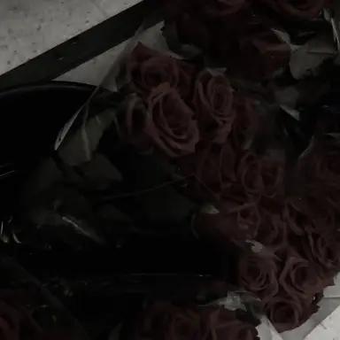 Profile image of 쉐도우밀크