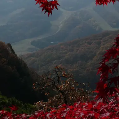 Profile image of 라더