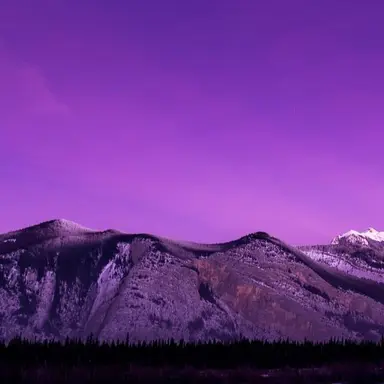 Profile image of 수현