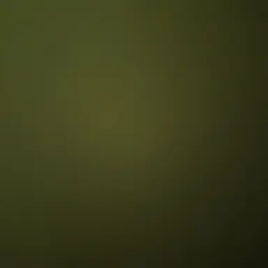 Profile image of 영서