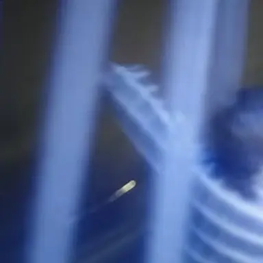 Profile image of 大森 元貴