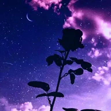 Profile image of 멜로우