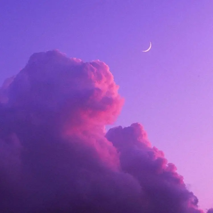 Songsong_cat의 저주소년조