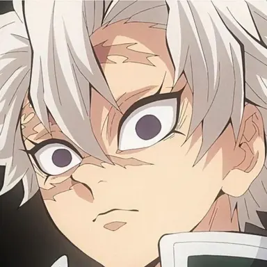 Profile image of 시나즈가와 사네미