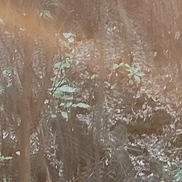 PortlyQuake7981의 스페셜 3 군대갔음(?)