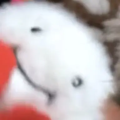 Profile image of ウナク