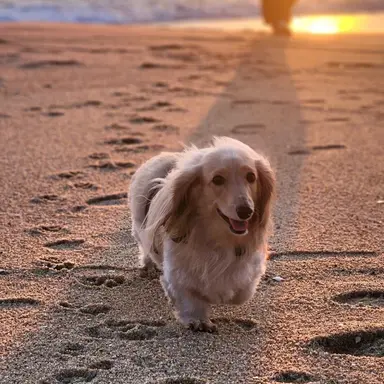 Profile image of 우디