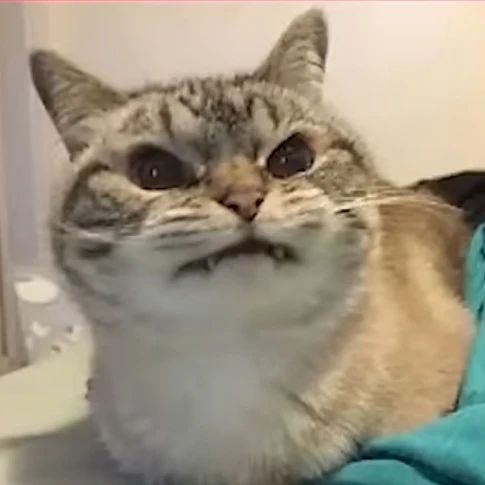 김상우