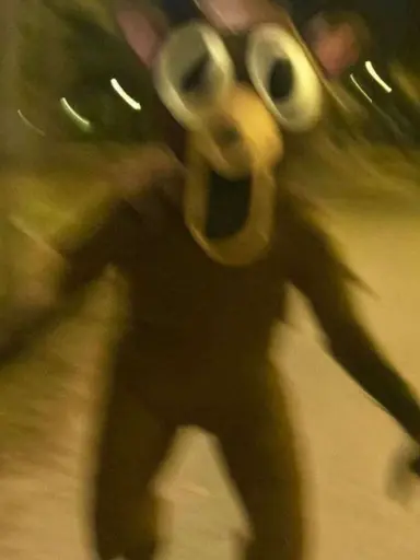 Profile image of 99 Nights in the Forest