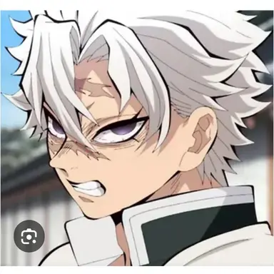 Profile image of 시나즈가와 사네미