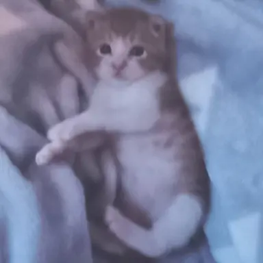 Profile image of 수경위