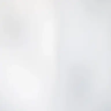 Profile image of Monika