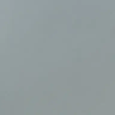 Profile image of 라더