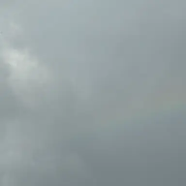 Profile image of 덕개