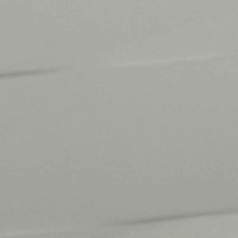 공룡