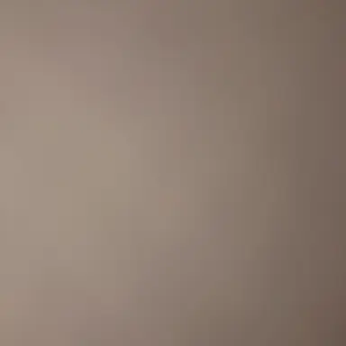 Profile image of 백지헌