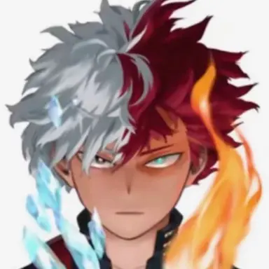 Profile image of Shoto todoroki