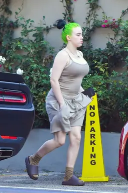 Profile image of Billie Eilish