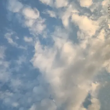 Profile image of 담백