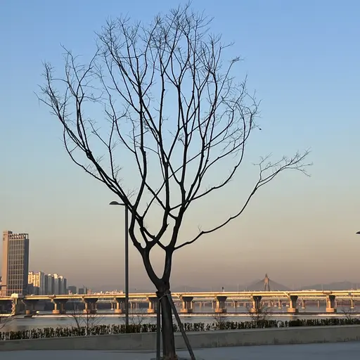 BlueEdit8526의 알바 선배