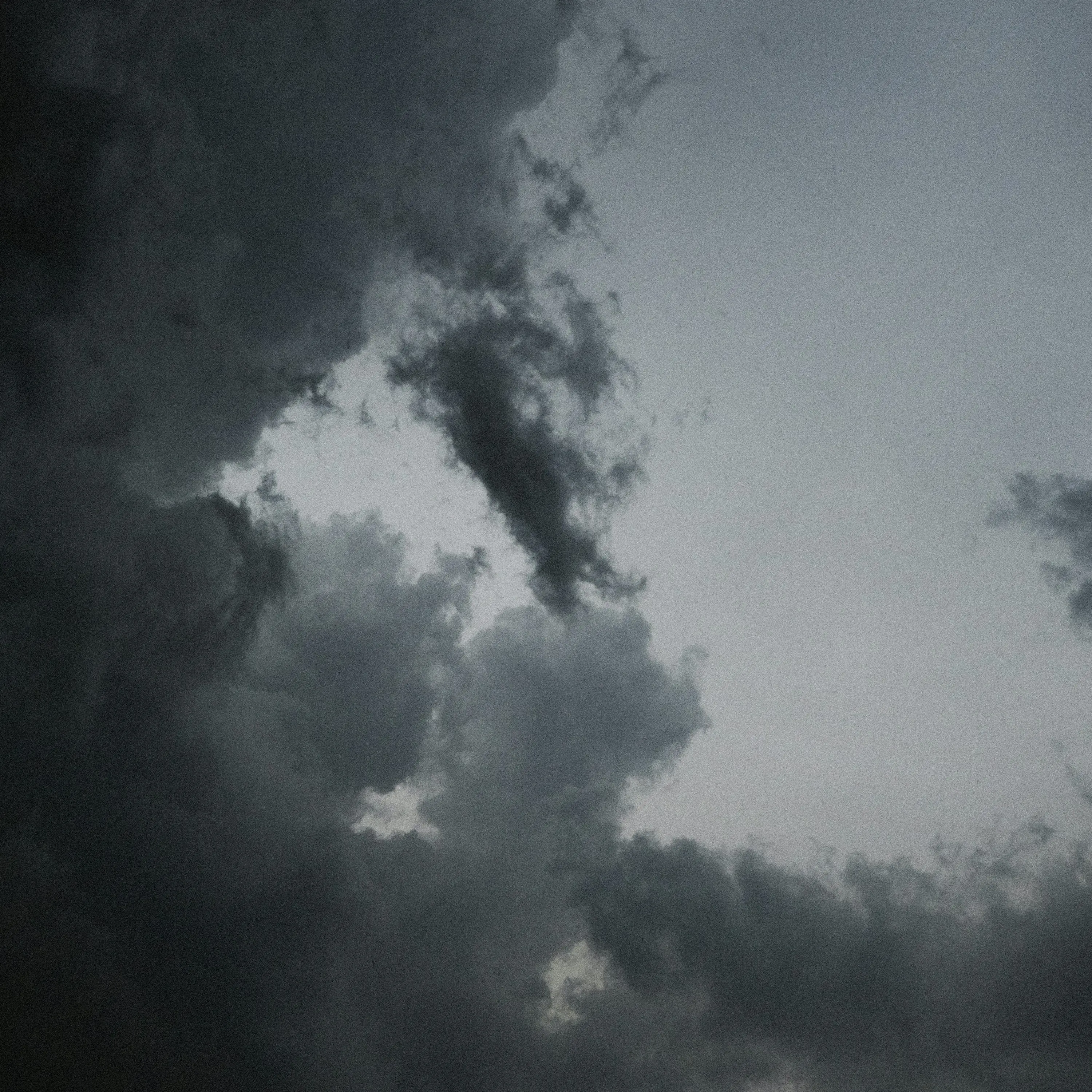 yosan.g의 노니 먼데이