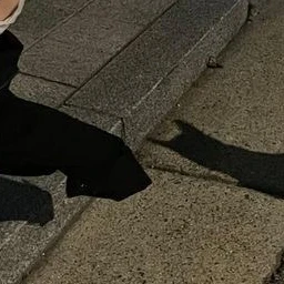 リノ