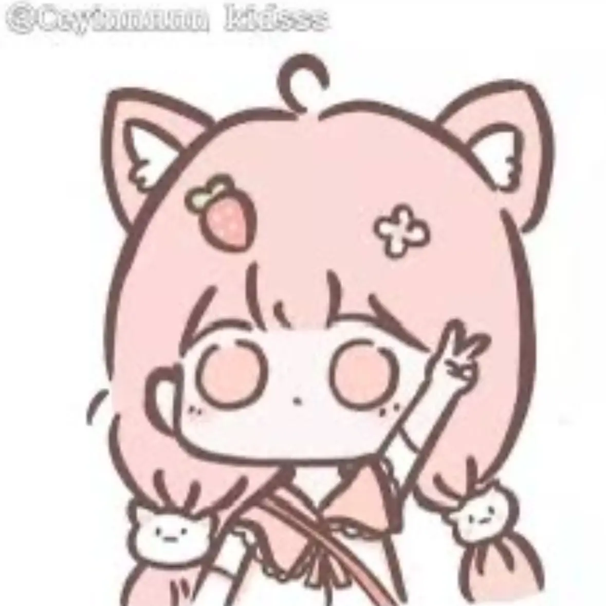 WavyCache2809의 핑꾸