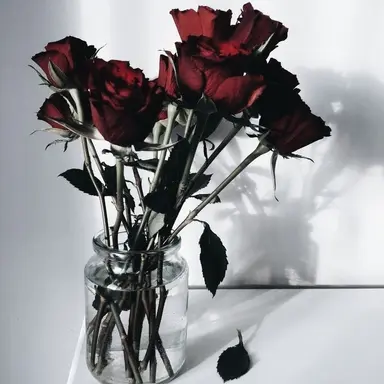 Profile image of 사샤 베넷