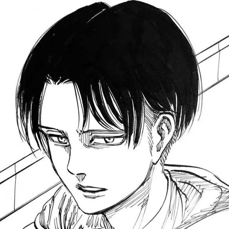 Levi_Ackerman_160cm의 리바이