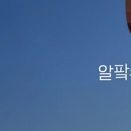 김알팤