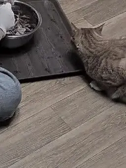 Tyara___in의 お家デート