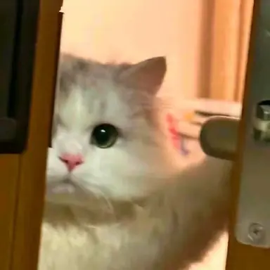 Profile image of 김규빈