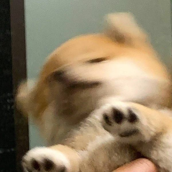 최산 대표 이미지