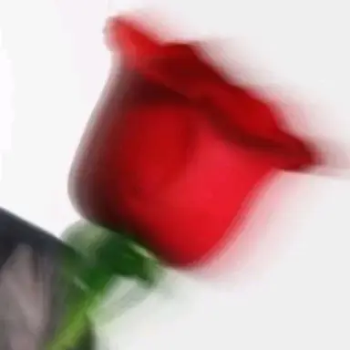 Profile image of 박지훈