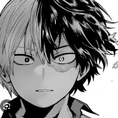 Profile image of Shoto Todoroki