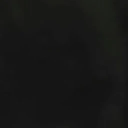 スンリ