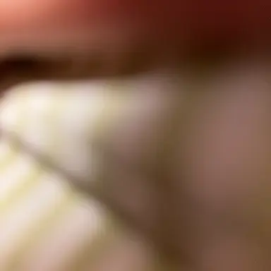 Profile image of 또이