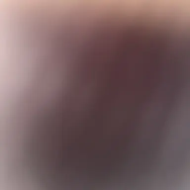 Profile image of 벨키